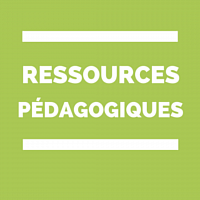 Ressources pédagogiques